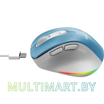 Мышь Genius Ergo 9000S Pro (голубой) картинка 4